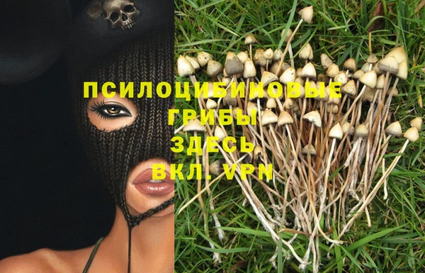 мдпв Беломорск