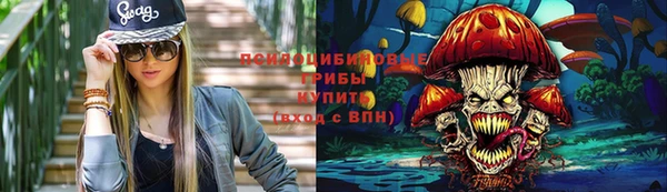 мдпв Беломорск